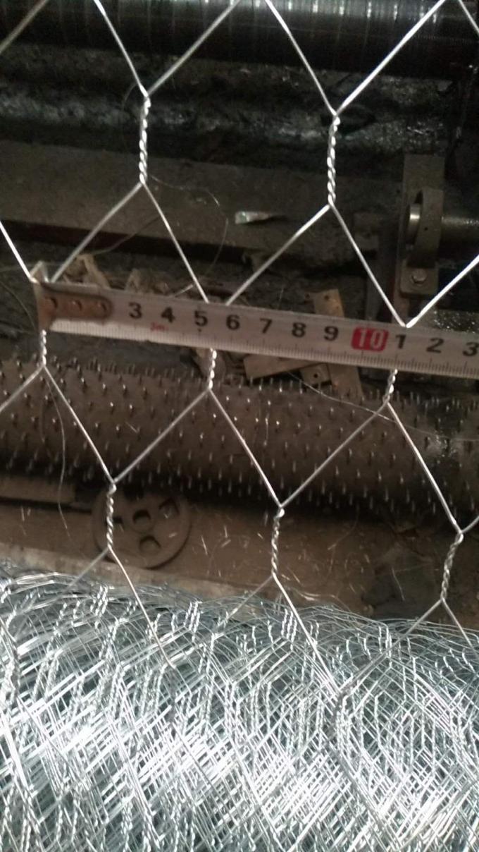Hd Galvanized Stainless Steel Chicken Wire Mesh W2m
