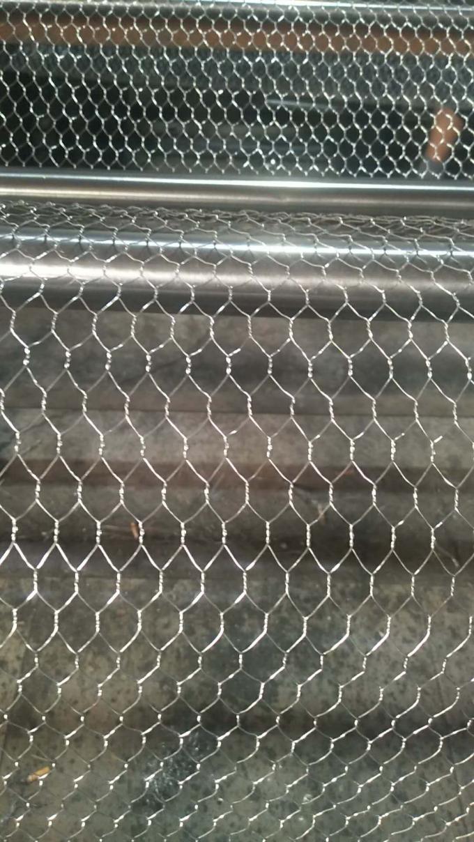 Hd Galvanized Stainless Steel Chicken Wire Mesh W2m