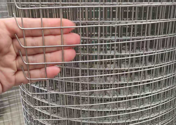 1/2 Inch Ss Welded Wire Mesh , SGS Chicken Cage Wire Mesh
