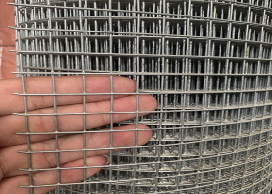 1/4 Inch Galvanized Welded Wire Mesh , PVC Coated Welded Wire 22 Gauge