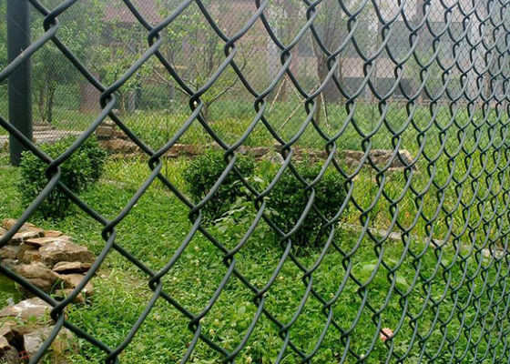 Decorative 50x50mm Galvanized Chain Link Fence 8 Gauge