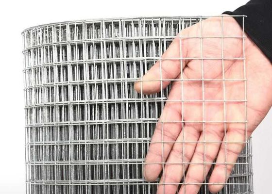 2mm Wire Diameter 1"X 1/2" 1x1 Hole Stainless Steel Welded Wire Mesh For Brid Cage