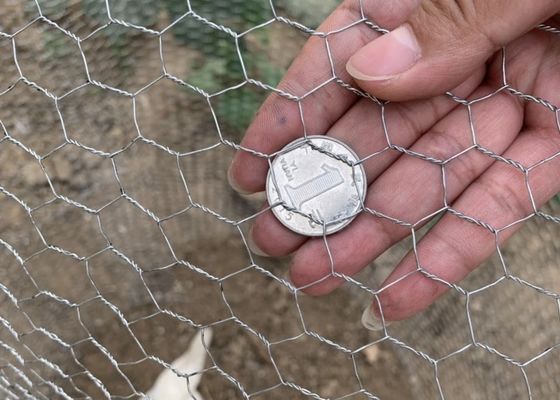 19mm Poultry Wire Mesh Fence , 50mm Hole Hex Wire Fencing