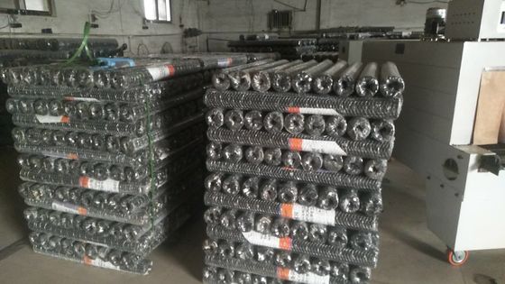 Fish Garden Galvanized Hexagonal Wire Mesh Stainless Steel