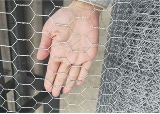 3/4 Inch 19mm Galvanised Hexagonal Wire Netting