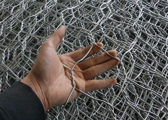 0.3mm Dia Chicken Iron Galvanized Hexagonal Wire Mesh 2m Width