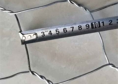 BWG 21 3/4 Inch 19mm Galvanized Hexagonal Wire Mesh