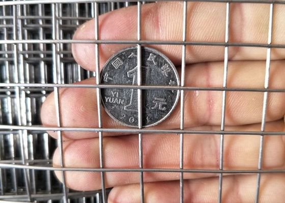 Sgs 3mm 2x4 3x3 5x5 Stainless Steel Welded Wire Mesh Panel