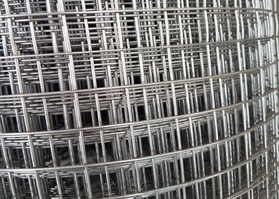 Breeding Net / Plastered 1x30m Ss Welded Wire Mesh