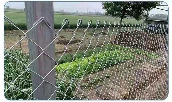2m Height Garden Iron Wire Mesh 1.5mm Pvc Coated Chain Link Fence