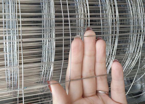 Livestock 1/2 Inch 304 316 Welded Steel Mesh Panels