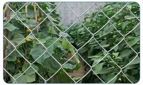5x5cm Hole Size Galvanized Chain Link Fence Iron Wire Mesh Diamond 5x1m