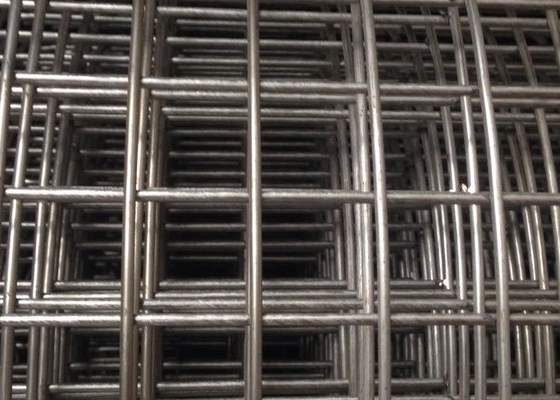 316 Fence Pvc Coated Welded Wire Mesh Panels Sgs