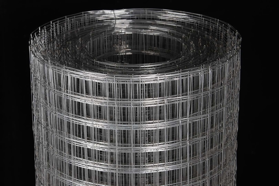Bird Cage 0.6mm Stainless Steel Welded Wire Mesh Astm Standard