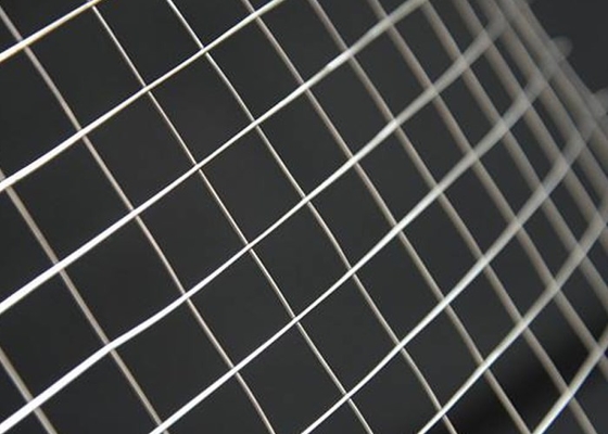 Bird Cage 0.6mm Stainless Steel Welded Wire Mesh Astm Standard