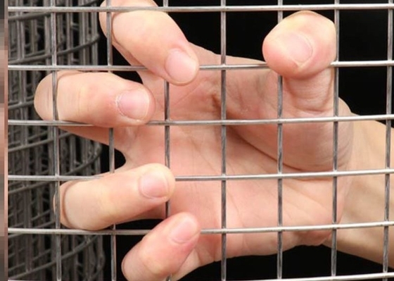 Building 6mm Wire Mesh Panels Ss316 Silver Galvanised