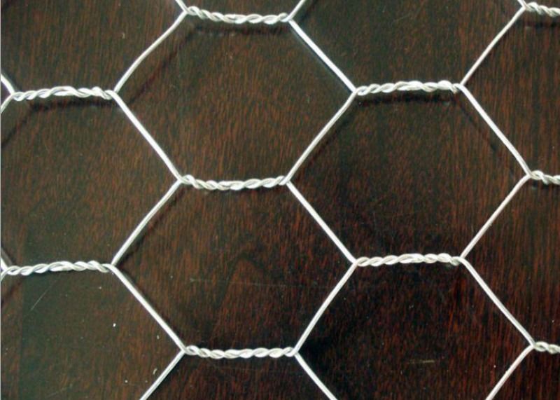 1m Width 3/4" 2.6mm Gauge Rabbit Proof Wire Mesh