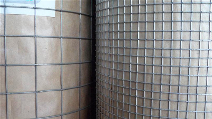 1/2 Inch Hole Size Electric Galvanized Pvc Coated Wire Mesh